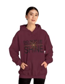Do Not Let Anyone Dull Your Shine - Adult Hoodie